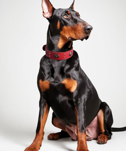 Leather Dog Collar, 2 inches Wide Heavy Duty Genuine Leather Collars, Handmade, Soft, and Luxury, Eye-catching Best Choice for Large and Medium Breed Dogs, Red 21-25 in - color: Red, size: 21-25 in