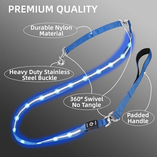 Light up Dog Leash for Night Walking - USB C Rechargeable - Waterproof - Dog Leash with Flashlight - LED Leashes for Dogs - 6Ft, Red - color: Red