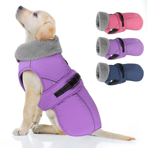 Dog Coat Large, Windproof Dog Jacket with Warm Fleece Lining, Thickened Collar Dogs Winter Coat, Adjustable Reflective Pet Coats for Cold Weather (Purple, Large) - color: Purple, size: Large