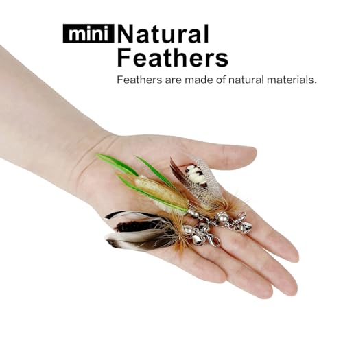 TTcat Cat Feather Toys, 3 Pcs Mini Insects Refills, Cat Toys Replacement Feathers for Cat Kitten Wand. - color: 3Pcs (Mini Insects)