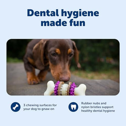 PetSafe Busy Buddy Bristle Bone Dog Chew Toy - Treat Holding Toothbrush Toy for Hard Chewers - Helps Keep Your Dog's Teeth Clean - Durable, Interactive - Purple, Small - size: Small, style: Bristle Bone