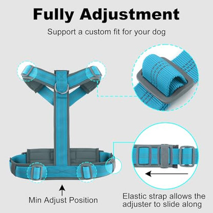 Plutus Pet No Pull Dog Harness, Adjustable Nylon Harness with Soft Padding, Reflective and Heavy Duty Dog Harness for Small, Medium, Large Dogs(Cyan, XS) - color: Cyan, size: XS