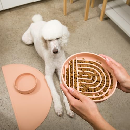 Should We Go? Slow Feeder for Dogs & Puppies, The Slowdown Bowl Silicone Slow Eating, Modern Lick Mat Design, Reduces Gulping, Fits 2.5 Cups, 9.5” Across x 1.5” Tall, Mealtime Challenge, Large-Blush - color: Blush - Rainbow Design, size: Large (9.5” Acros