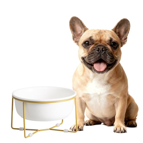 Elevated Ceramic Dog Bowl with Metal Stand - Raised Feeding Dish for Small and Medium Dogs - Ideal for Food or Water - Each Holds 600ml / 3.2 Cups (Approx. 320g) - White - color: White-Flat, size: Large