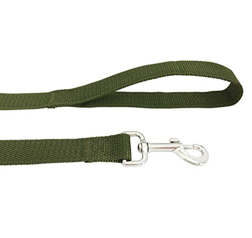 TAIDA 20ft 30ft 40ft 50ft Nylon Long Training Dog Leash for Small Medium Large Dogs, Long leashes Dog/Puppy Lead for Obedience Recall Training, Camping, or Backyard, 1 inch Wide (50 Foot, Green)