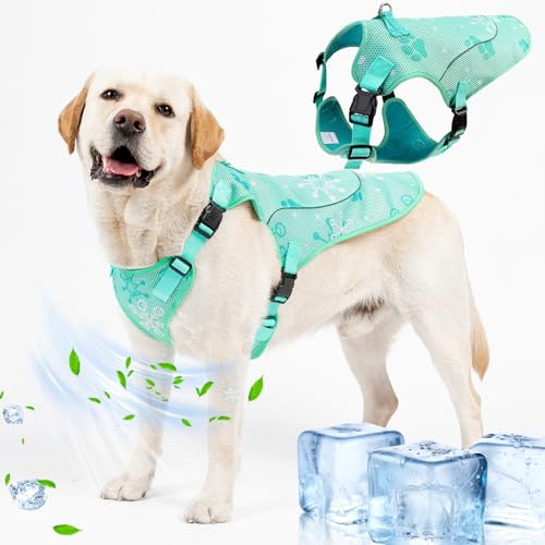 EXPAWLORER Dog Cooling Vest Harness for Summer, Breathable Mesh Reflective Cooler Harness for Hot Weather Outdoor Hiking, Adjustable Lightweight Pet Jacket with D-Ring for Medium Large Dogs Green - color: Green, size: Medium