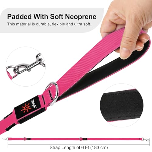 Colaseeme Light Up Dog Leash, LED Pet Leashes USB Rechargeable, Glow Safety Dogs Lights at Night (6FT,Pink) - color: Pink, size: 6FT