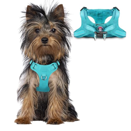 Dog Harness Step in Dog Vest Harness, Reflective Adjustable Puppy No Pull Harness Breathable Soft for Small and Medium Dogs Cats, Ocean Blue, XXS - color: Ocean Blue, size: XX-Small