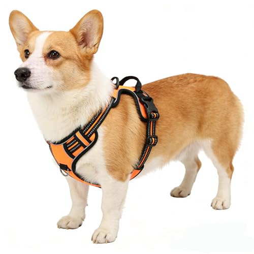 Orange No-Pull Dog Harness with 2 Leash Clips，Soft Padded Vest for Medium Dog, Adjustable Reflective Dog Vest Easy to Put on and Take Off, (Neck: 14"~20", Chest: 21"~27", Orange M) - color: Orange, size: Medium