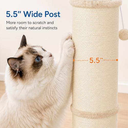Sisal Cat Scratching Post for Indoor Cats & Kittens, 5.5" Diameter Heavy Duty Vertical Scratcher, 32 Inch Extra Tall Furniture Protector with Stable Base, Beige - color: Cylinder Beige
