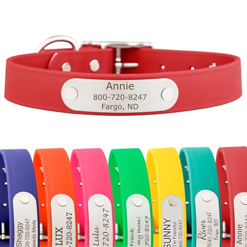 dogIDs Personalized Dog Collar – Custom Waterproof Soft-Grip Biothane with Laser-Engraved Nameplate, Durable & Odor-Resistant, USA Made | Red, 1 in x 16 in (Fits Necks Size 14-18 in) - color: Red, size: 1 in x 16 in (Fits Necks Size 14-18 in)