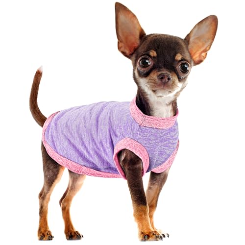 Chic Ion Polyester Dog Vest: Adorable Fashion Apparel for Small, Medium, and Large Breeds, Moisture-Wicking, Soft, Anti-Static, Durable, and Easy-to-Clean Design - Purple XXS - color: Purple, size: XXS-(1~3lb) | Chest(~11.8")