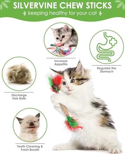 TINDTOP Cat Chew Toys, 12 Pack Silvervine Chew Sticks with 2 Pack Chew Ropes for Kittens Teeth Cleaning, Increase Appetite, Aggressive Chewers Cat Dental Toy - color: 14 Pack