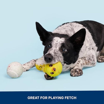 Barkbox Play Hatch Rubber Tennis Balls for Dogs & Puppies | Trio of Squeaky Fetch Balls for Bounce, Chase & Play | Durable, Engaging & Fun for Playful Pups - color: Play Hatch