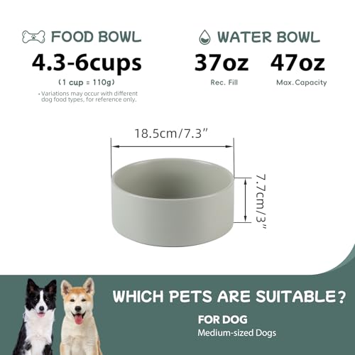 Havniva 7.3” Dog Bowl Ceramic Dog Food and Water Bowl, Durable Dog Water Bowl with Non-Slip Rubber Base Large Capacity Feeding Dishes for Medium Dogs - color: Matte Gray, size: 7.3 Inch