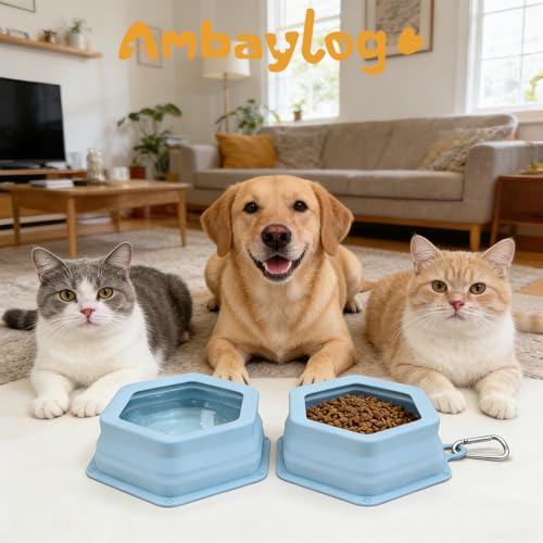 1-Pack Collapsible Pet Water Bowl, Spill Proof No Splash Dog Travel Bowl with Carabiner, Silicone Bowl for Hiking Camping Walking Road Trips, BPA Free Dishwasher Safe, 24oz Morandi Blue - color: Single Pack