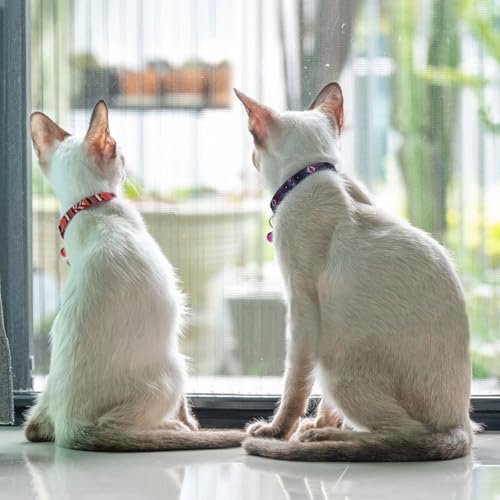 2 Pack Cat Collars with Bell - Breakaway Soft Collar for Girl & Boy Cats, Adjustable Safety Cute Kitten Collars – Comfortable Stylish Patterned Print Design Lightweight (Geometric + Boho) - color: Geometric + Boho