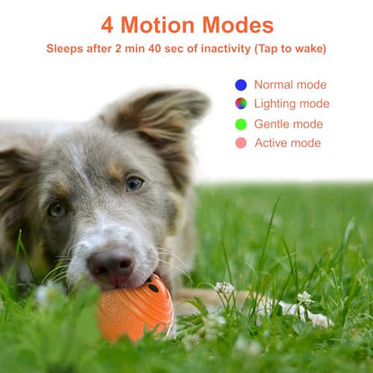 Interactive Dog Ball - Smart Toy for Small and Medium Dogs, Automatic Moving Ball, Rotating & Bouncing, Durable TPU+PC Shell, Toys that Keep Dogs Busy, for Dog (Orange)