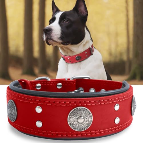 Leather Dog Collar, 2 inches Wide Heavy Duty Genuine Leather Collars, Handmade, Soft, and Luxury, Eye-catching Best Choice for Large and Medium Breed Dogs, Red 15-19 in - color: Red, size: 15-19 in