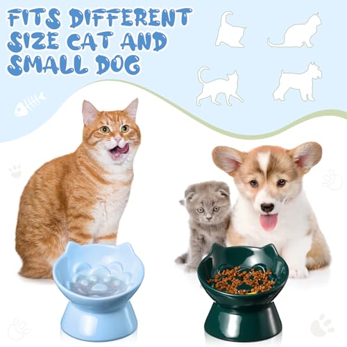 Funnymoom 2 Pcs Ceramic Raised Slow Feeder Cat Bowl, 5.91inch Elevated Cat Slow Feeder Bowl Tilted Anti Vomiting for Dry Wet Food and Water Easy to Clean High Edge(Dark Green, Blue) - color: Dark Green, Blue