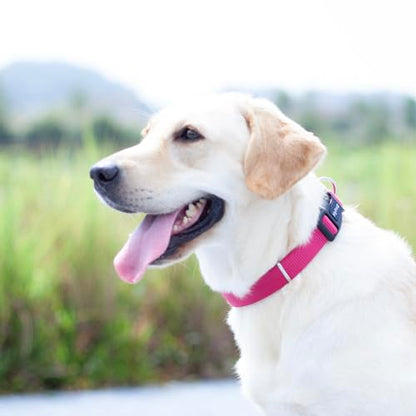 Small Dog Collar Quick-Release| Heavy-Duty Nylon Puppy Collar, Adjustable & Durable Pet Supplies for Boy & Girl Dogs (Small, Rose Red) - color: Rose Red, size: Small