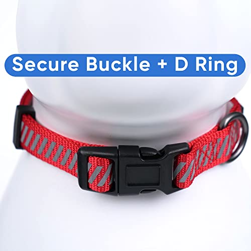 Pawtitas Reflective Dog Collar - Personalized Name & Phone Number, Adjustable for Extra Small Dogs & Puppies - Red - color: Customized Red, size: X-Small (Pack of 1)