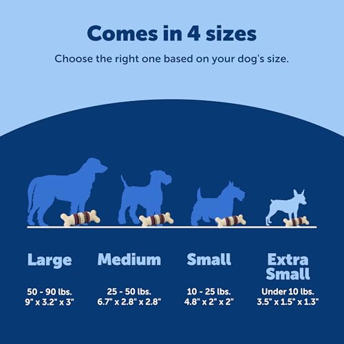 PetSafe Busy Buddy Bristle Bone Dog Chew Toy - Treat Holding Toothbrush Toy for Hard Chewers - Helps Keep Your Dog's Teeth Clean - Durable, Interactive - Purple, Extra Small - size: Extra Small, style: Bristle Bone