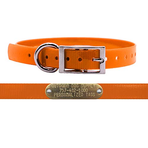 3/4" Waterproof D-Ring Dog Collar Adjustable Fit for Small & Medium Breeds | Custom 3/4" Brass Nameplate – Durable, Odor-Resistant, USA-Made (15", Orange) - color: Orange, size: 15" Long