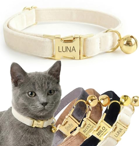 Personalized Velvet Cat Collar with Bell, Custom Engraved Name and Phone Number, Adjustable Luxury Kitten Collar, Non-Breakaway Secure ID Collar for Cats and Kittens - color: White, size: L