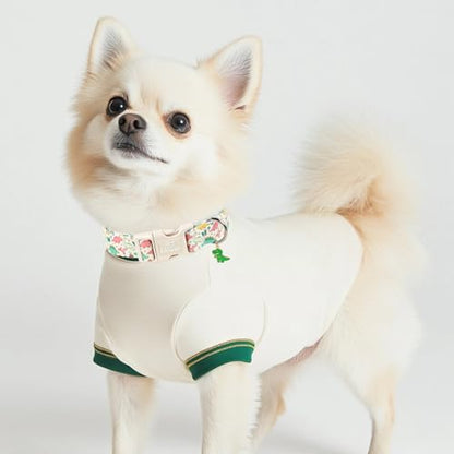 Dinosaur Dog Collar Cute Boy Dog Collars for Puppy Small Dogs - Lightweight Adjustable Cartoon Design Male Female Dogs Everyday Collar with Safety Buckle XS - color: Cute Dino, size: XS