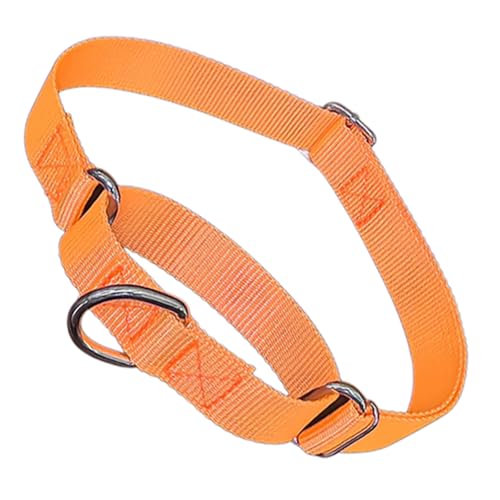 Martingale Collar for Dogs,Soft Nylon No Pull Dog Collar,Training Escape Proof Heavy Duty Choke Collar for Dogs Adjustable for Small Medium Large Pet Girl Female Dogs,Orange M - color: Orange, size: M(Neck 14-20")