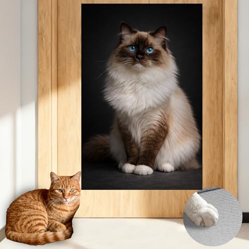 Cat Wall Scratcher 15.3x23.6 Inches Polyester Synthetic Fiber, Long-Haired Blue-Eyed Cat Print, wall scratchers for Indoor Cats, Scratching mat, Home Decor, Bedroom, Reading Nook (2pcs) - color: TT21440-2pcs