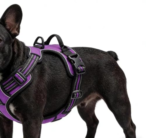 Purple No-Pull Dog Harness with 2 Leash Clips，Soft Padded Vest for Medium Dog, Adjustable Reflective Dog Vest Easy to Put on and Take Off, (Neck: 14"~20", Chest: 21"~27", Purple M) - color: Purple, size: Medium