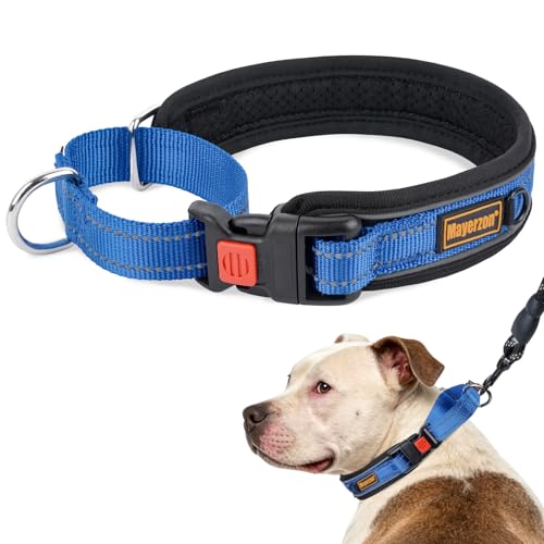 Mayerzon Martingale Collar for Medium Large Dogs, No Pull Dog Collar with Buckle, Soft Padded Reflective Martingale Dog Collar for Training Walking Outdoor(Blue, XXL) - color: Blue, size: XXL(Neck: 22-23.5")