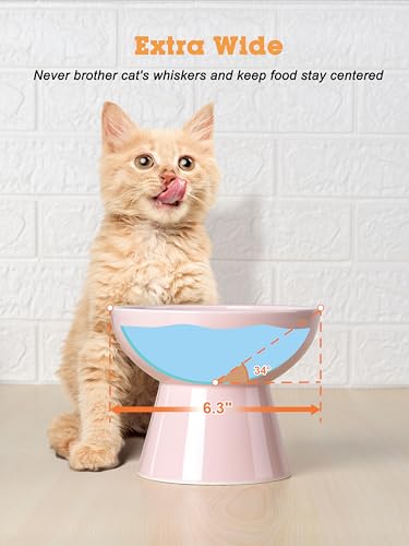 LoeJan Elevated Cat Food and Water Bowls Set, Extra Wide and Raised Ceramic Feeder, Anti-Vomit Whisker-Free Pressure Feeding Bowl for Kittens Adult Cats Small Dogs (Pink, Bowl Set) - color: Pink, size: 2 Pack (Food & Water Bowls)