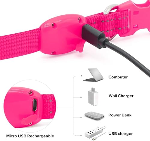 BSEEN Light Up Dog Collar - Reflective LED Dog Collar Rechargeable Glowing Pet Collar for Puppies & Cats, Safety Dog Lights for Night Walking (Pink) - color: Pink