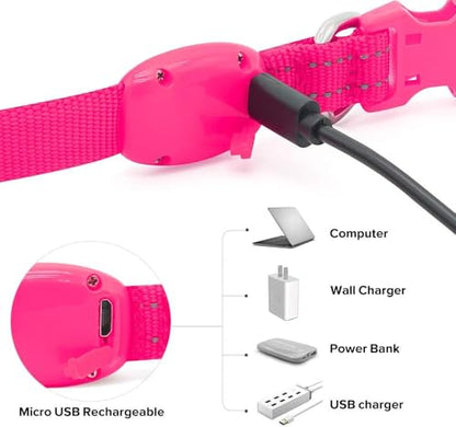 BSEEN Light Up Dog Collar - Reflective LED Dog Collar Rechargeable Glowing Pet Collar for Puppies & Cats, Safety Dog Lights for Night Walking (Pink) - color: Pink