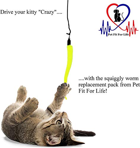 Pet Fit for Life 5 Piece Replacement Pack of Worms for Interactive Cat and Kitten Toy Wands - style: 5 Squiggly Worms