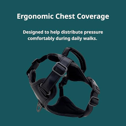 CANAGAN Premium Vegan Leather Dog Harness for Medium Dogs – Adjustable, No-Pull, Escape-Proof, Dual Leash Rings & Top Handle, Zinc Alloy Buckles – Perfect for Urban & Outdoor Walks - size: M: Chest(17" - 23")