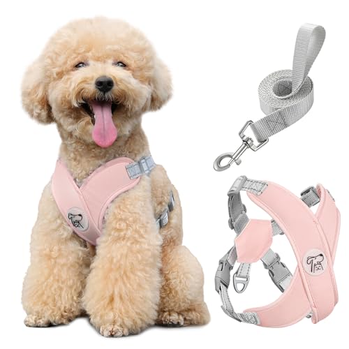 Pawaboo Small Dog Harness and Leash Set, Puppy Harness X-Frame No Pull No Choke, Dog Vest Harness Adjustable for Small Medium Sized Dogs, Soft Breathable Pet Harness for Walking Outing (M, Pink) - color: A-Pink, size: M(Neck 15.7-18.9" Chest 14.2-23.6")