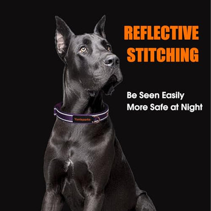 Neoprene Padded Dog Collar, Nylon Collar for Small to Large Dogs, Heavy Duty with Metal Buckle, Reflective(Large, Purple) - color: Purple, size: Large (Pack of 1)