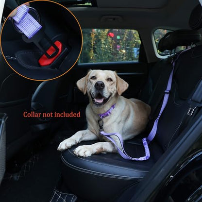 Hands Free Dog Leash, No Pull Bungee Dog Running Waist Leash, with Car Seat Belt, Reflective Stripes, Heavy Duty for Medium and Large Dogs. (Solid Lilac, Large) - color: Solid Lilac
