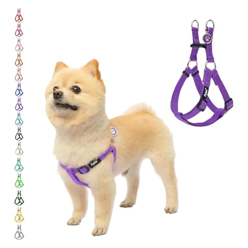 PUPTECK No Pull Dog Harness Soft Adjustable Basic Nylon Step in Puppy Vest Outdoor Walking with ID Tag - color: Purple, size: X-Small