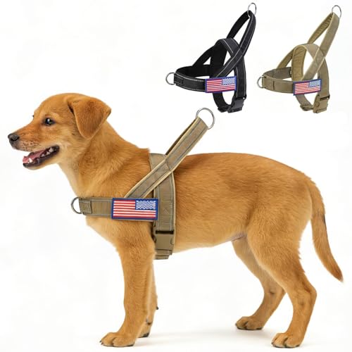 BINGPET No Pull Dog Harness for Small Dogs | Escape-Proof & No-Choke | Soft Padded Vest with Handle & Reflective Front Clip | Quick-Fit for Training, Hiking & Daily Walks | Brown, S - color: Yellow, size: S (Chest 20-23in)