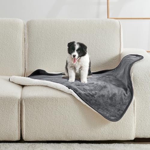 Waterproof Blanket for Bed Couch Sofa, Soft Liquid Pee Proof Pet Blanket for Dog Puppy Cat, Reversible Sherpa Fleece Furniture Protector (Dark Grey, 30x40 inches) - color: Dark Grey, size: 30x40 inches
