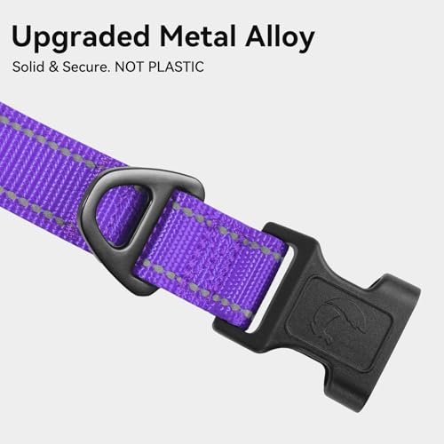 Joytale Reflective Dog Collar, Soft Neoprene Padded, Metal D-Ring, Nylon Pet Collar Adjustable for Puppy and Small Dogs, Purple, XS - color: Purple, size: X-Small (Pack of 1)