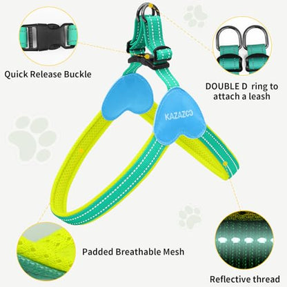 Kazazoo No Pull Small Dog Harness and Leash Set, Adjustable Puppy Soft Vest Harness with Breathable Mesh Padded, Reflective Lightweight Harness with Buckle for Small Medium Dogs, Green M - color: Green, size: M