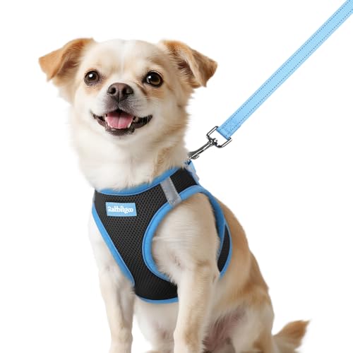 rabbitgoo Dog Harness Small Sized and Leash Set, Step-in Breathable Pet Harness, Soft Walking Reflective Puppy Vest for Small Dogs, Black & Light Blue, XXS - color: Black & Light Blue, size: XXS (Chest: 12.4 - 14.2")