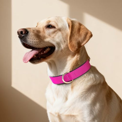 Didog Soft Padded Dog Collar for Large Dogs, Lightweight and Breathable Dog Collar with Metal Buckle, Rose Purple, XL - color: Rose Purple, size: XL: Fit 17-23" Neck