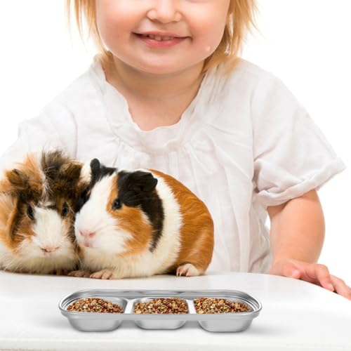 Compartment Pet Tray Food Bowls: 2pcs Stainless Steel Cat Bowl Divided Pet Dishes Bowls for Kitten Small Dogs Food Water Feeder